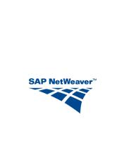 SAP NetWeaver, SAP AG